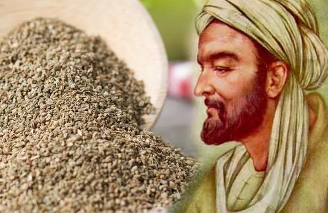 İbn-i Sina’nın mucize tavsiyeleri... Her derde deva şifa dolu