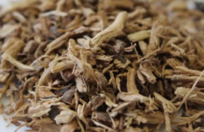 Böğürtlen kökünün faydaları nelerdir? Böğürtlen kökü hangi hastalıklara iyi gelir?