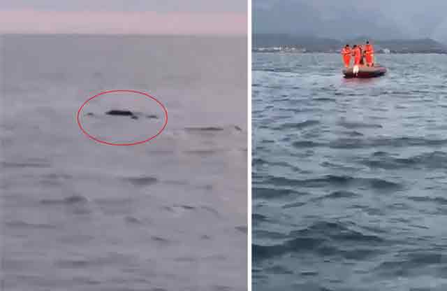 Denizde cesedi bulunan Damla'nın ölümüyle ilgili flaş gelişme!