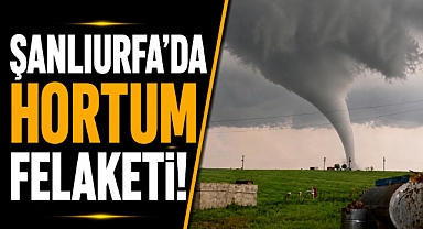 Şanlıurfa'da hortum felaketi! Evler yıkıldı, yaralılar var